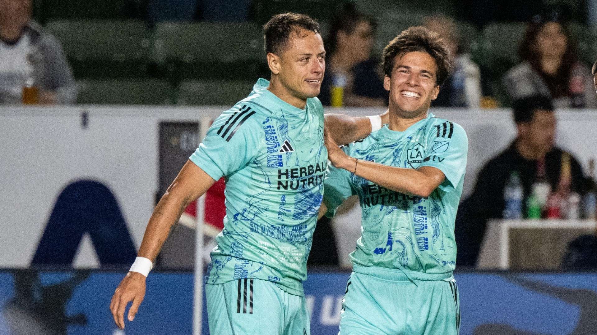 人的强大意 人的强大意