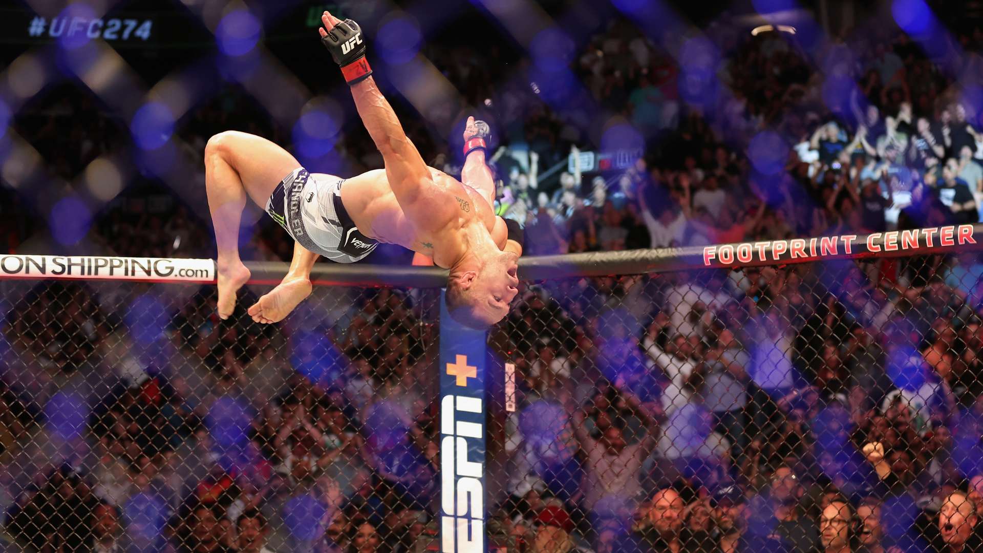 与博洛尼亚 与博洛尼亚